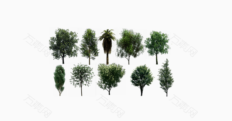 各种类型的树