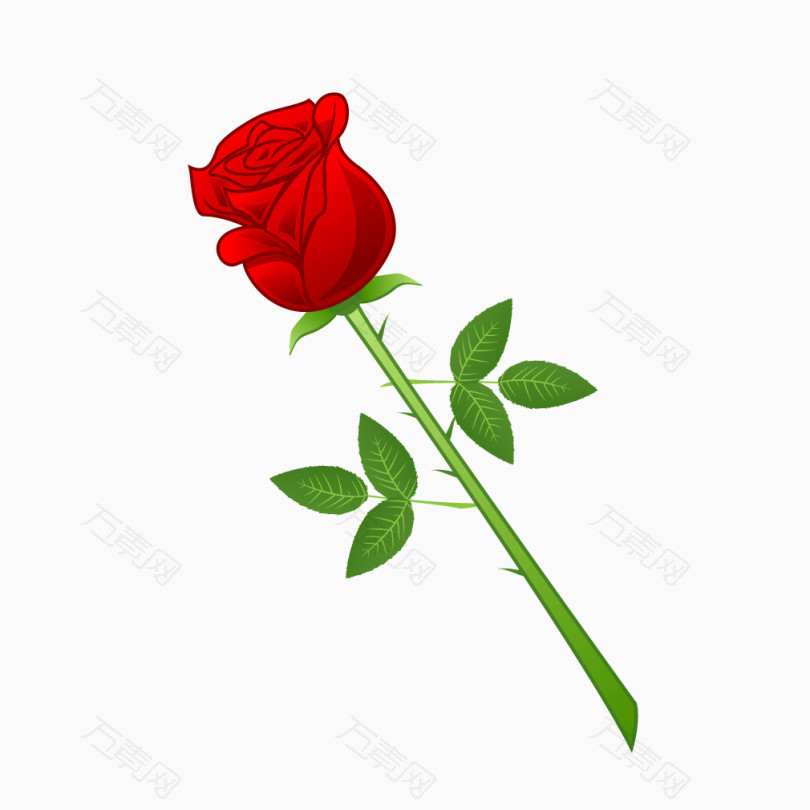 红色玫瑰花朵爱情