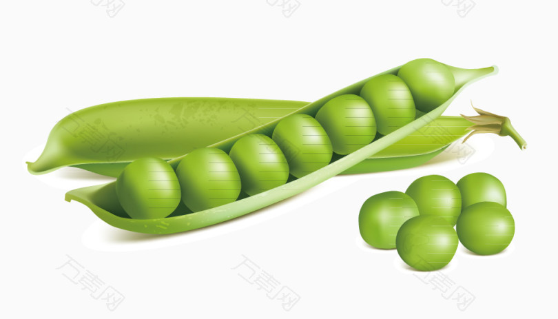 绿色豆豆