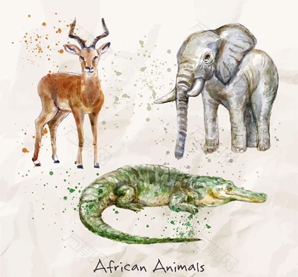 水彩绘非洲动物