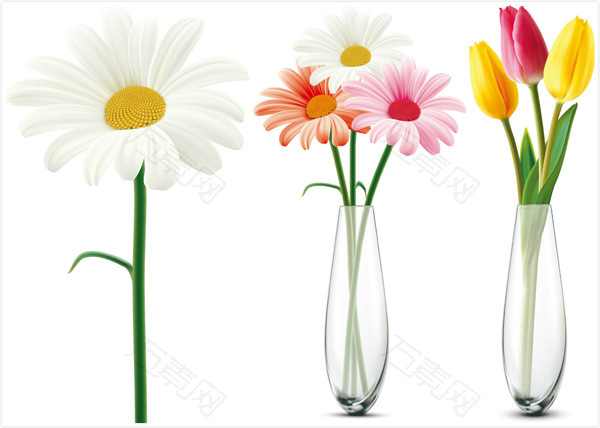 花朵与花瓶矢量