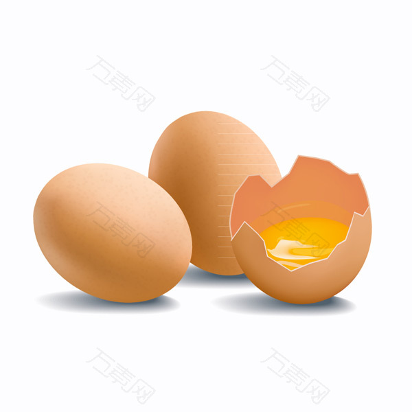 鸡蛋矢量图